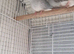 Pair of diamond dove