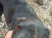 NERO – From Frozen & Forgotten to Faithful & Loving