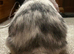 MINI LION LOP X LION LOP RABBIT FOR SALE