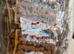 Nobblys dental dog chews peanut butter