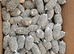 PVA bags tench carp bream rigs pellets boilies