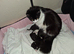 A boy and his mother are looking for their new home.