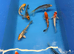 6”-7” koi