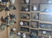 For sale pigeons