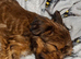 Looking for forever home