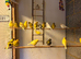 Fife Canaries