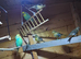 Young male budgies for sale