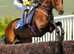 Blaenbran Equine Rest and Rehabilitation