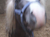 We are selling are beautiful boy