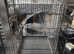 Mixture parrot Cages