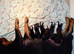 Top quality rottweiler puppies