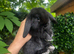 Tiny Baby Bunny&rsquo;s