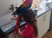Scarlet macaw