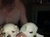 Chihuahua puppies