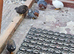 Quails