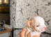 Two male puppy chihuahuas