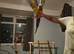 Blue and Gold Macaw