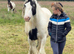 13.2 gypsy cob