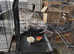 Mixture parrot Cages