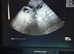 Mobile Dog Ultrasound Scanning