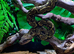 Madagascan Tree Boas at Birmingham Reptiles