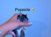Beautiful mixed gender baby rats