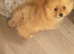 Fluffy
