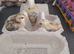 Serama bantam hatching eggs