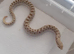 Males and females hognoses