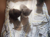 5 cute half ragdoll kittens