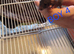 Baby male dumbo/rex rats