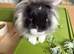 Adorable boy seeking new home