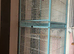 PawHut 2 in 1 cage and two budgie’s