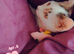 EED REHOUSING THIS WEEK