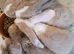 Gorgeous Litter of Mini Plush Lops ( Dense Velvet type Coat)