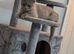 Beautiful BSH female
