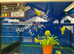 Yellow Labs (Labidochromis caeruleus)