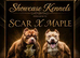 ABKC AMERICAN BULLY POCKET CLASS PUPPIES