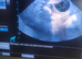 Canine ultrasound scanning