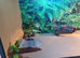 Vivarium LARGE 4ft x 2ft x2ft with electrics