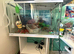 Fish tank