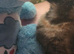 Rare Black Smoke Tortoiseshel