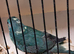 Kakarike