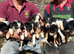 Working tri coloured collie pups