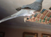 Silver male diamond dove for sale