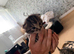 4 beautiful Kittens for