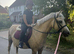 Ultimate Barbie pony