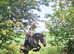 Perfect 2nd Pony Blue Roan Mare !!!REDUCED!!!