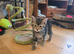 4 beautiful 8 wks old ready to go  kittens