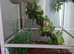 White glass Vivarium for sale suitable for Reptiles & Amphibian,s